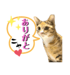 フクとツゥの毎日スタンプ（個別スタンプ：5）