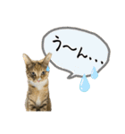 フクとツゥの毎日スタンプ（個別スタンプ：9）
