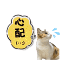 フクとツゥの毎日スタンプ（個別スタンプ：26）
