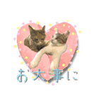 フクとツゥの毎日スタンプ（個別スタンプ：28）