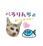 フクとツゥの毎日スタンプ（個別スタンプ：38）