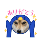 福ちゃんだね♡ありがとう・おめでとう（個別スタンプ：5）