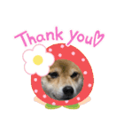 福ちゃんだね♡ありがとう・おめでとう（個別スタンプ：7）