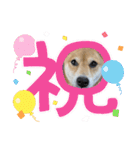 福ちゃんだね♡ありがとう・おめでとう（個別スタンプ：19）