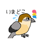 いろんな鳥たちshun第2弾（個別スタンプ：13）