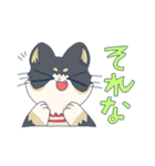 こむぎのちつぶ（個別スタンプ：11）