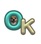 犬のポッピーくん（個別スタンプ：4）