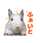 うちのハジ、雷、雪、晴（個別スタンプ：3）