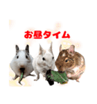 うちのハジ、雷、雪、晴（個別スタンプ：4）