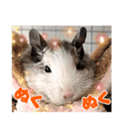 うちのハジ、雷、雪、晴（個別スタンプ：35）