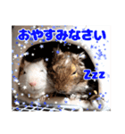 うちのハジ、雷、雪、晴（個別スタンプ：40）