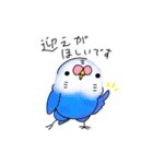 使えそうなインコ 1（個別スタンプ：3）
