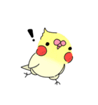 使えそうなインコ 1（個別スタンプ：5）