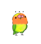 使えそうなインコ 1（個別スタンプ：6）