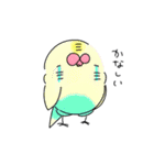 使えそうなインコ 1（個別スタンプ：11）