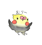 使えそうなインコ 1（個別スタンプ：12）