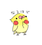 使えそうなインコ 1（個別スタンプ：17）