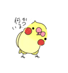 使えそうなインコ 1（個別スタンプ：19）