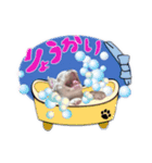 フレンチブルドッグ かわいい（個別スタンプ：2）