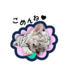 フレンチブルドッグ かわいい（個別スタンプ：7）
