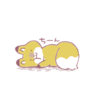 きつねさーん！スタンプ（個別スタンプ：36）