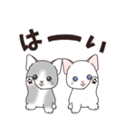 背景動く‼猫スタンプ＃1『マンチカン』（個別スタンプ：3）