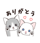 背景動く‼猫スタンプ＃1『マンチカン』（個別スタンプ：7）