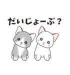 背景動く‼猫スタンプ＃1『マンチカン』（個別スタンプ：10）