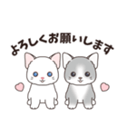 背景動く‼猫スタンプ＃1『マンチカン』（個別スタンプ：16）