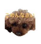 ララ達2（個別スタンプ：5）