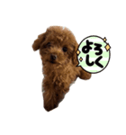 ララ達2（個別スタンプ：6）