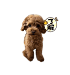 ララ達2（個別スタンプ：8）