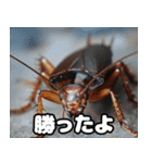 【キモ】ドッキリwゴキブリwスタンプw（個別スタンプ：19）