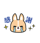 ちばコーギー2（個別スタンプ：5）