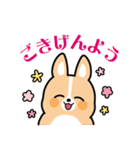 ちばコーギー2（個別スタンプ：8）