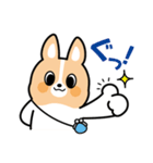 ちばコーギー2（個別スタンプ：11）