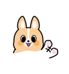 ちばコーギー2（個別スタンプ：12）
