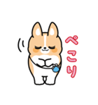 ちばコーギー2（個別スタンプ：18）
