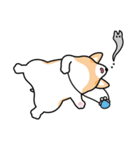 ちばコーギー2（個別スタンプ：19）
