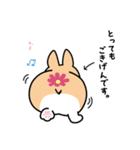 ちばコーギー2（個別スタンプ：25）