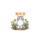 春光満ちる（個別スタンプ：11）