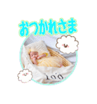 柚ちゃんのスタンプたち（個別スタンプ：6）