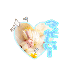 柚ちゃんのスタンプたち（個別スタンプ：36）