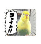 ソラミとやまとの日常挨拶（個別スタンプ：5）