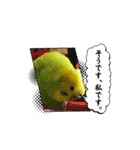 ソラミとやまとの日常挨拶（個別スタンプ：6）