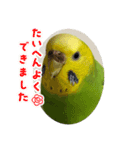 ソラミとやまとの日常挨拶（個別スタンプ：10）