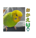 ソラミとやまとの日常挨拶（個別スタンプ：14）