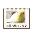 ソラミとやまとの日常挨拶（個別スタンプ：16）