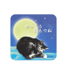 日常使える・猫のあんこと仲間たち（個別スタンプ：14）