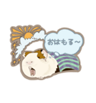 道産子モルモットのまるきち‪ ·͜·（個別スタンプ：2）